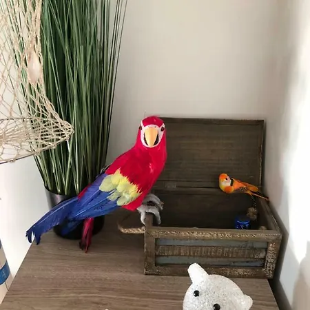 Le Petit Bateau Apartment *